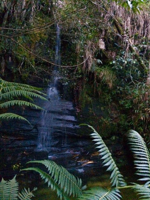 Pousada Serra Verde Joaquim Messias Exteriör bild